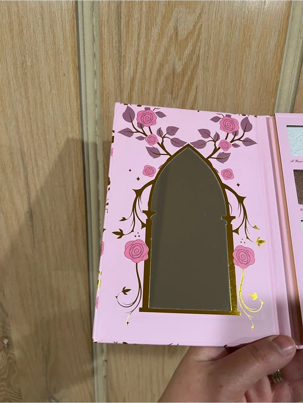 Disney Princess Aurora Makeup Palette